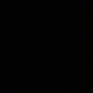 Meet your Posher, Dylan